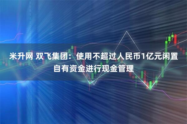 米升网 双飞集团：使用不超过人民币1亿元闲置自有资金进行现金管理