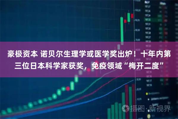 豪极资本 诺贝尔生理学或医学奖出炉！十年内第三位日本科学家获奖，免疫领域“梅开二度”