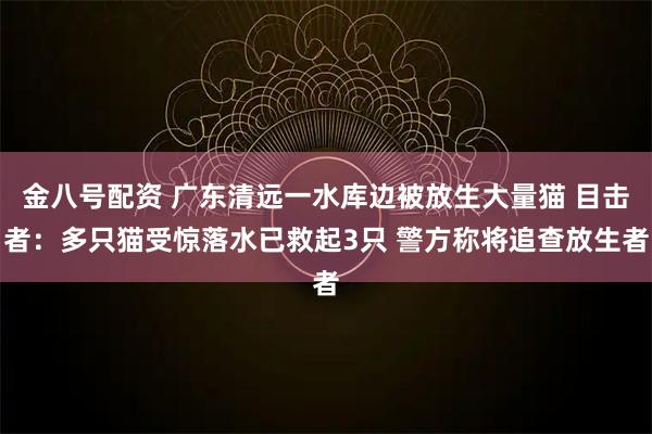 金八号配资 广东清远一水库边被放生大量猫 目击者：多只猫受惊落水已救起3只 警方称将追查放生者