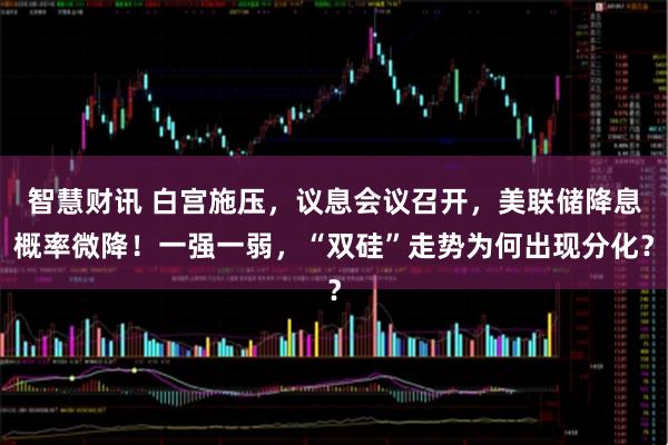 智慧财讯 白宫施压，议息会议召开，美联储降息概率微降！一强一弱，“双硅”走势为何出现分化？