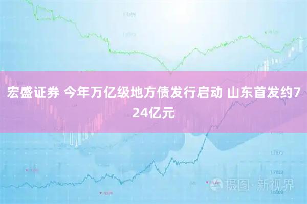 宏盛证券 今年万亿级地方债发行启动 山东首发约724亿元