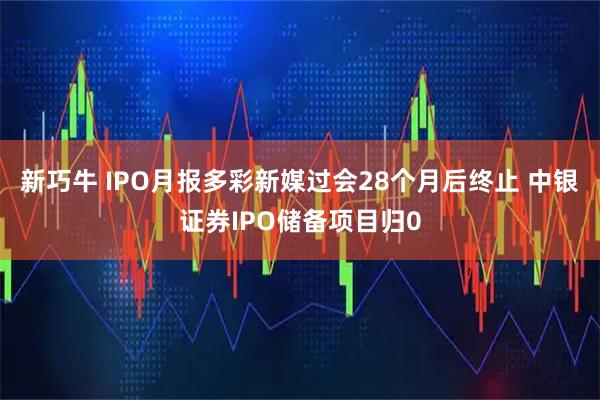 新巧牛 IPO月报多彩新媒过会28个月后终止 中银证券IPO储备项目归0
